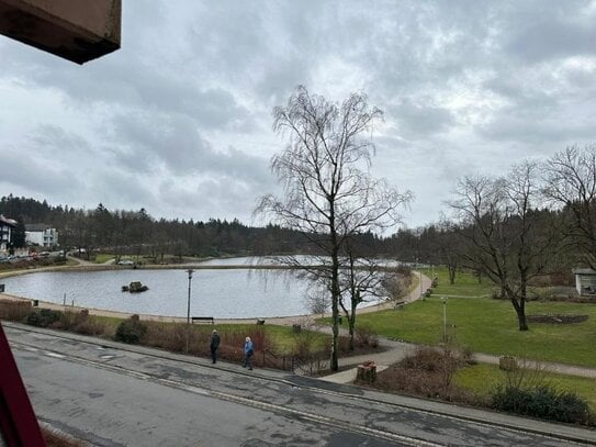 Appartement mit schönen Blick auf den Kranichsee