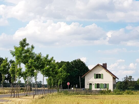 Wohnen im Branitzer Park