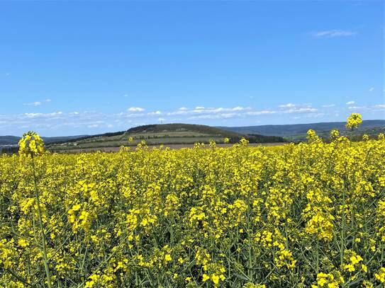 Attraktive Baugrundstücke in 54657 Neidenbach / Eifel. Eine Gemeinde, die Wohnen lebenswert macht.