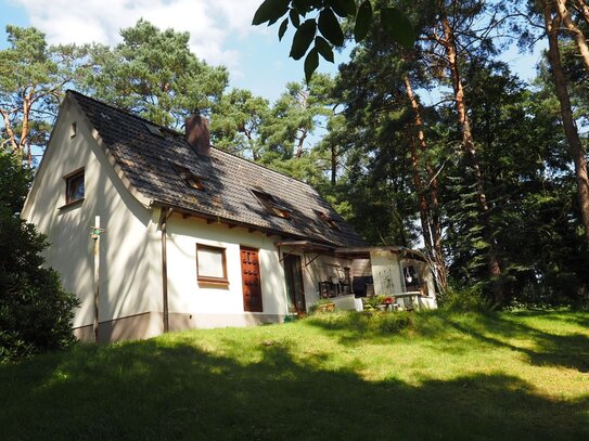 SINGLE-2-Zimmer DG WHG, ca. 48 m², mit Terrassennutzung in HH-Neugraben (Waldseite)