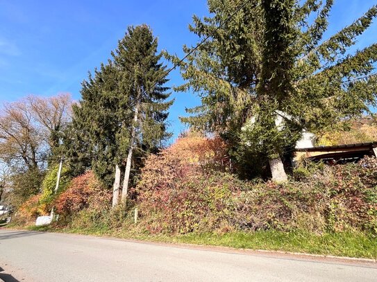 Bauland mit tollem Fernblick in Schneppendorf