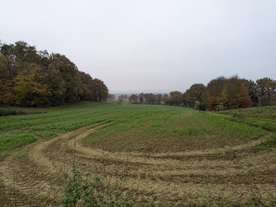 "SCHÖNES ACKERLAND, GUT ERREICHBAR"