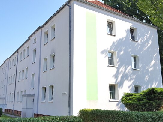 Sanierter Altbau! Schöne 3-R.-WE in Zittau!