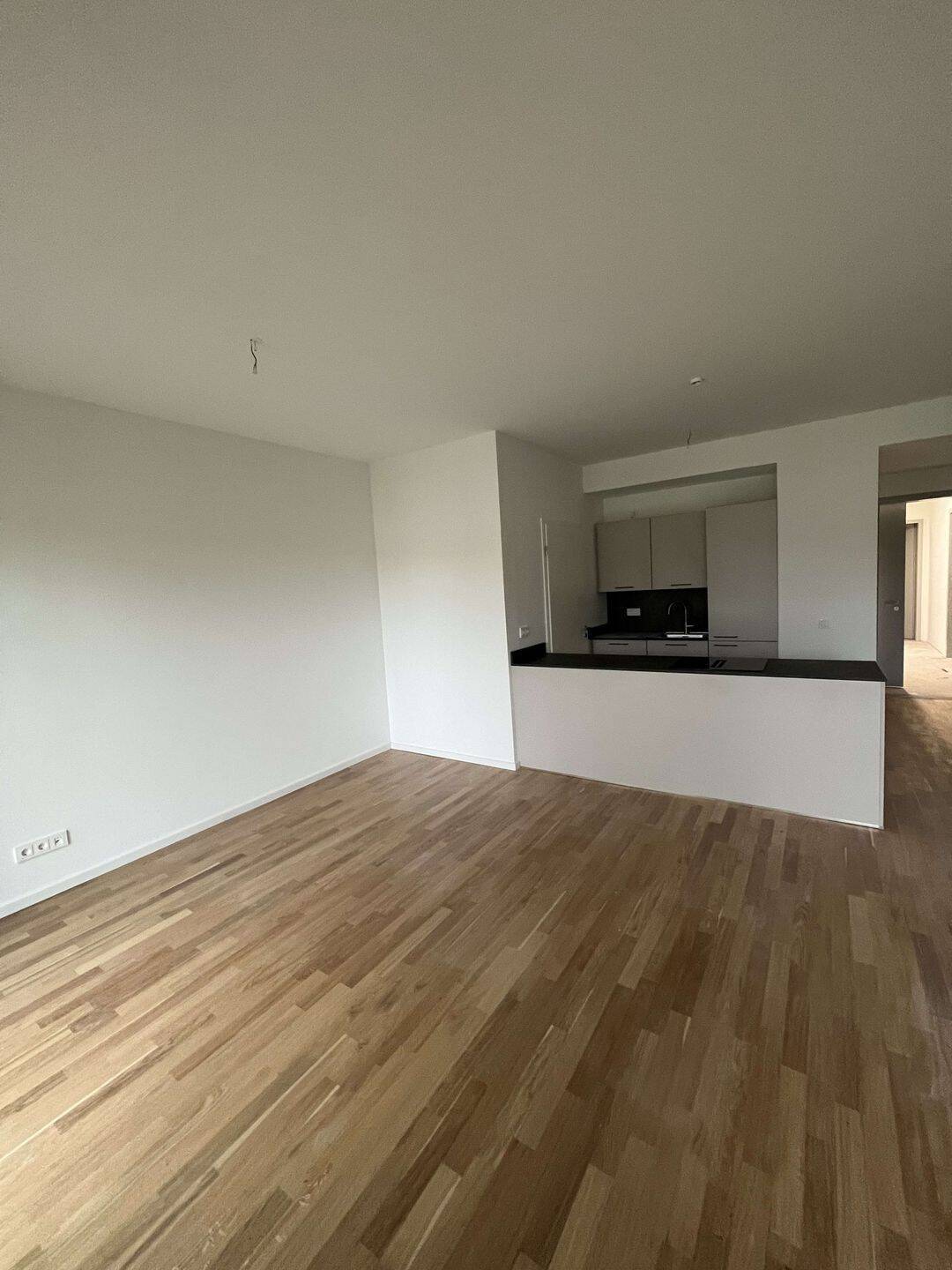 4 Zimmer mit großem Südbalkon - Foto 1