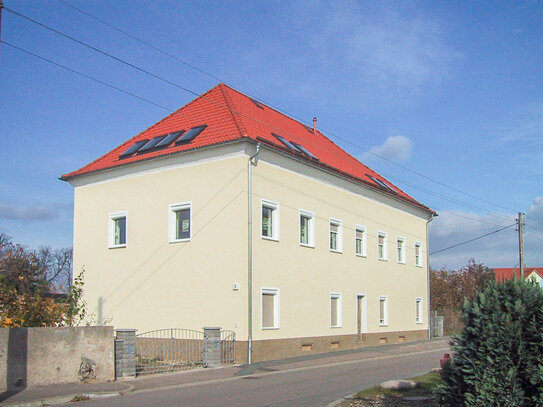 +++ Elbnähe! - Mehrfamilienhaus mit 5 Wohneinheiten inkl. Gewölbekeller +++