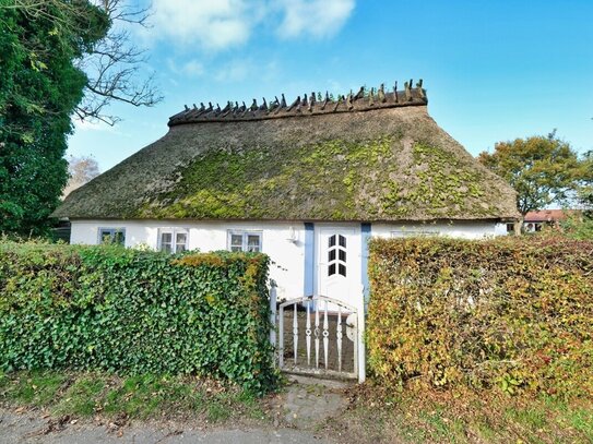 Verwunschenes, reetgedecktes Ferienhaus mit großem Garten und viel Potenzial zur Traumimmobilie.