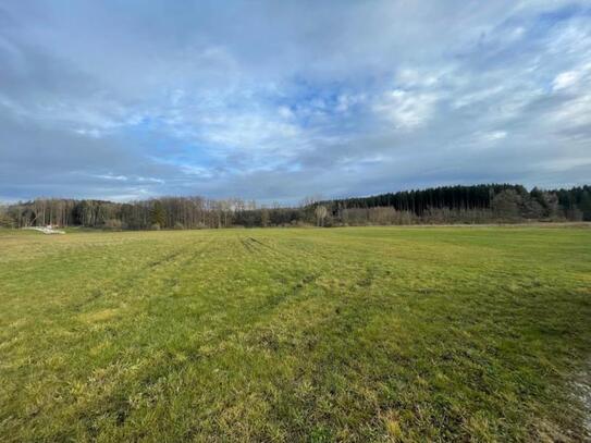 LANDWIRTSCHAFTLICHES GRUNDSTÜCK / WIESENFLÄCHE SEHR GUT BEFAHRBAR! GEMARKUNG IGLING - nähe LL