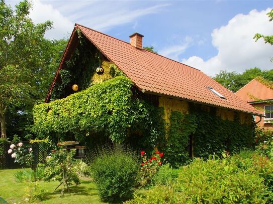 Charmantes Haus mit traumhaftem Garten in Mühl Rosin