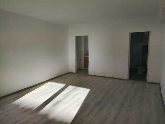 Niederwürzbach: bezugsfertiges, saniertes 1-Zimmer-Appartment (EG) in zentr. Lage