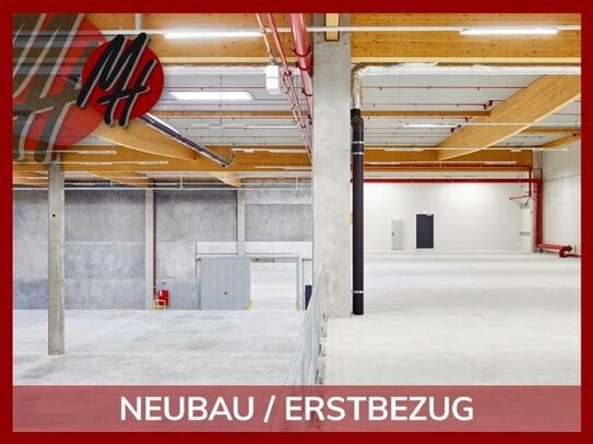 NEUBAU - Lager-/Logistik (5.000 m²) & Büro-/Sozial (200 m²) zu vermieten