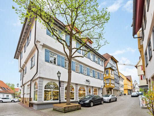 Wunderschöne 2-Zimmer-Wohnung im Herzen von Brackenheim