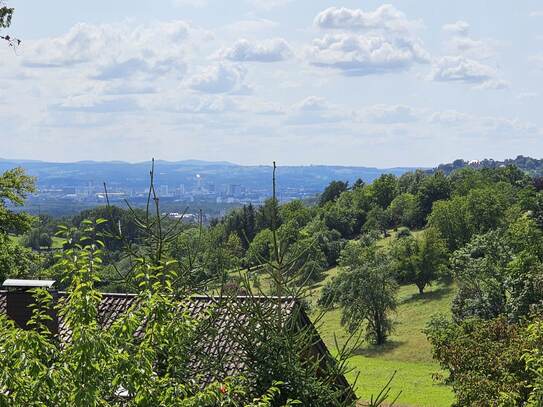 Lörrach-Salzert: Schöne Doppelhaushälfte mit Fernblick !