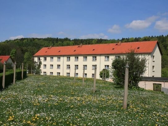 Wohnen im Grünen - Dreiraumwohnung sucht neue Mieter