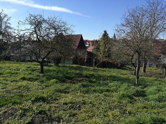 Das Einfamilienhaus mit dem schönen Satteldach in Bad Langensalza OT Zimmern - Freundlich und gemütlich