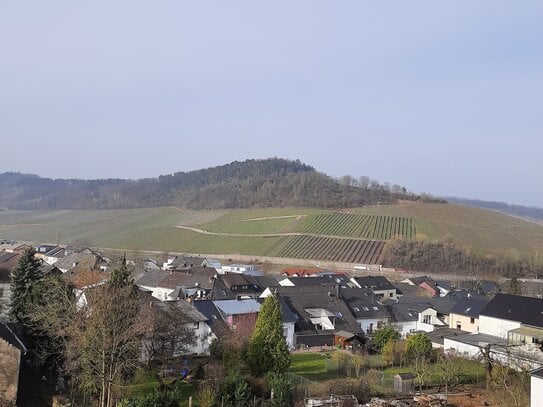 Aussicht und Ruhe genießen in Nittel