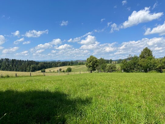 Großes Grundstück inkl. bebaubarem Bauland und schönen Fernblick