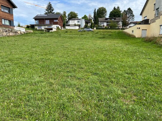 Viel Platz für Sie und Ihre Kinder - ein Traumhaus mit großem Grundstück