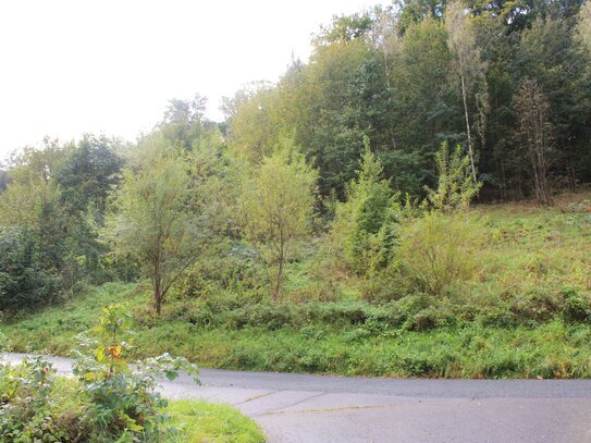 Baugrundstück in Randlage von Olbernhau