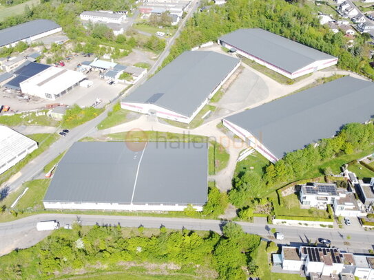 Lagerhallen ca. 4.000 m² - ca. 24.800 m², Rampen, PROVISIONSFREI in 56626 Andernach zu vermieten