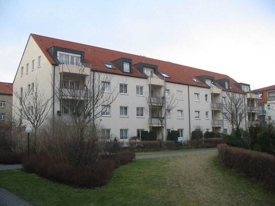 ++Idyllisches Wohnen in einer 2-Raumwohnung mit grüner Umgebung, Balkon und TG-Stellplatz in Pieschen++