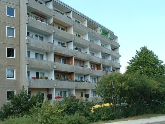 Der Blick ins Grüne lädt zum Verweilen auf dem Balkon ein!