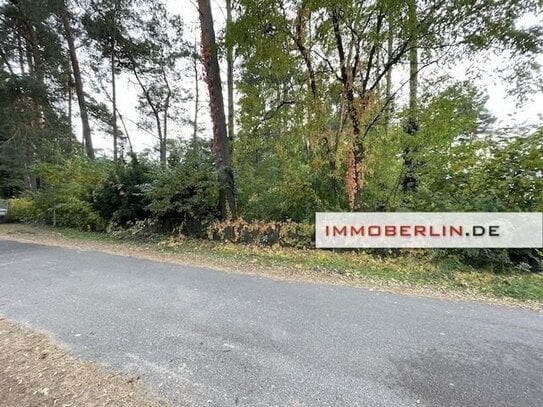 IMMOBERLIN.DE - Bebaubares Waldgrundstück in sehr naturverbundener Lage