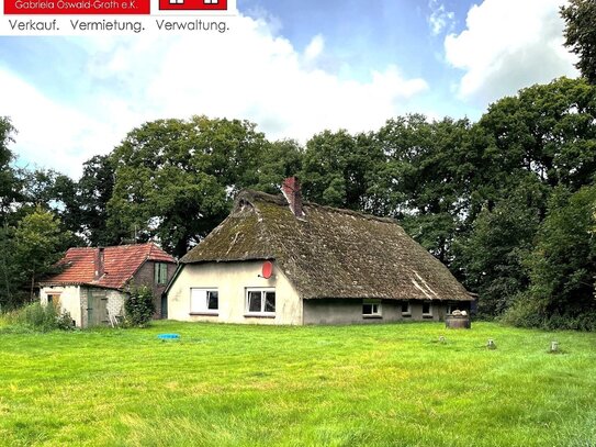 ***Varel-Altjührden/Grünenkamp*** Sanierungsbedürftiges Bauernhaus auf großem Grundstück - Machen Sie was draus !