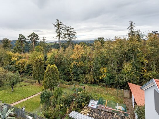 Neuwertige Dachgeschosswohnung in Pfaffenrot mit tollem Ausblick