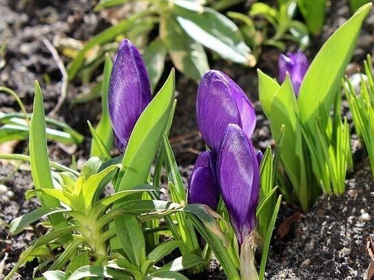 Wunderschöne Doppelhaushälfte ganz nach Ihren Wünschen