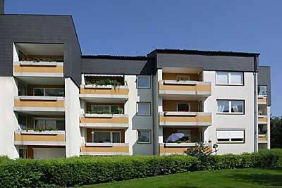 + 3 Zimmer frisch renoviert +