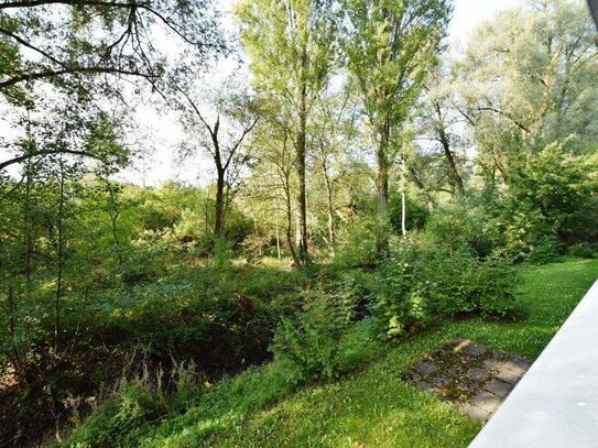 Entspannter Blick ins Naturschutzgebiet. Schöne und freundliche Praxis-/Kanzlei-/Büroräumlichkeiten in zentr. Lage.