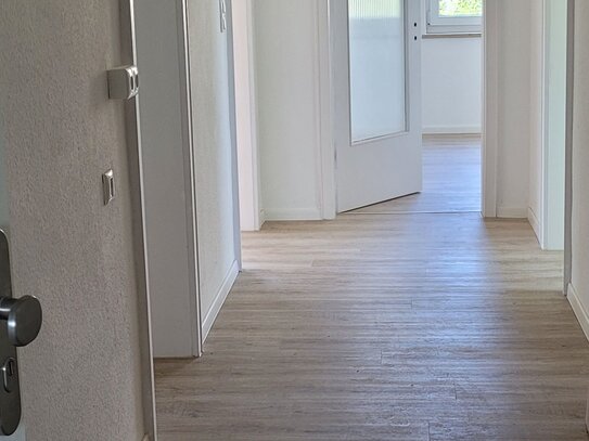 Ruhige, großzügige, renovierte und modernisierte 4 - Zimmerwohnung zu vermieten.