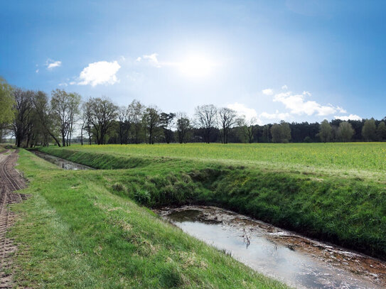 Kirchlinteln - Otersen: 26.967 m² Ackerland im Bieterverfahren