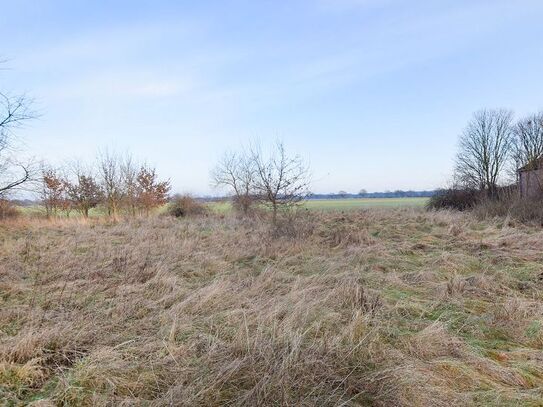 Seltenes Grundstück! Feldrandlage, 1200m², erschlossen und ohne Altbestand.