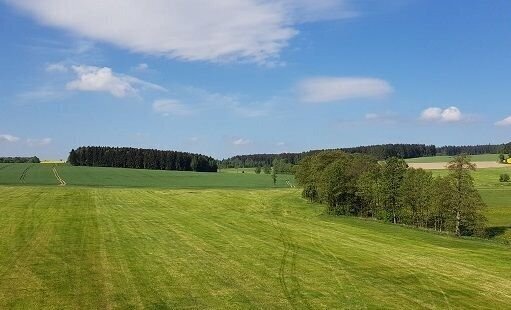 Herrliche Dachgeschosswohnung mit Einbauküche, großem Balkon und kleinem Garten zu vermieten