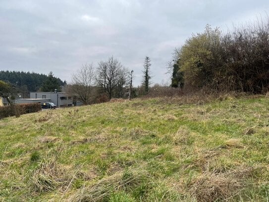 Wohnen mit tollem Fernblick in Hetzerath