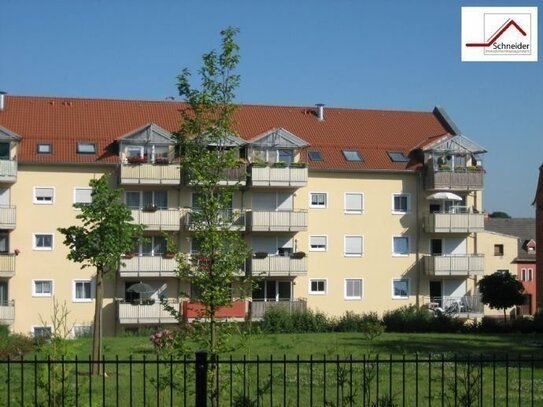 Neu renovierte 2-Raum-Wohnung (mit Terrasse) nahe Stadtpark