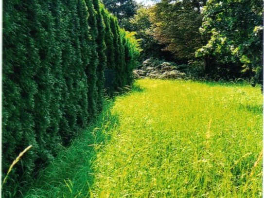 Falkensee-Finkenkrug: Sonniges Baugrundstück nahe Wiesen - ideal für Pferdeliebhaber