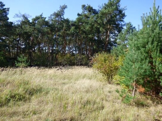 Seltenheit - 28m Straßenfront für Ihr Traumhaus, bauträgerfrei, mit Blick in den Wald