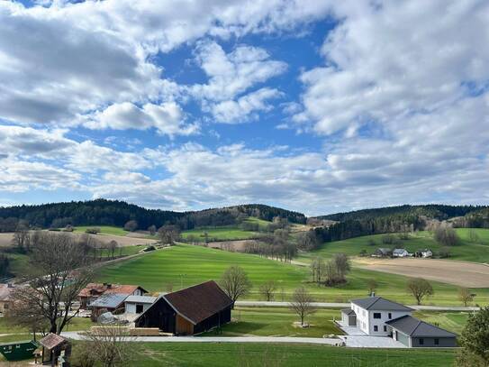 Schöne Loftwohnung mit Küchenmobiliar und Blick ins Grüne !!!
