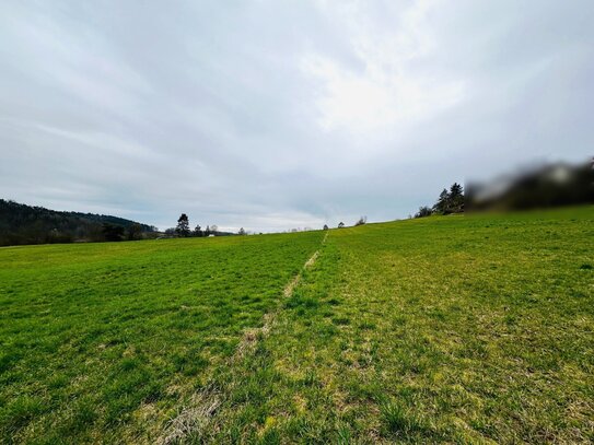 Interessante Grundstücke in Weitramsdorf am Ortsrand