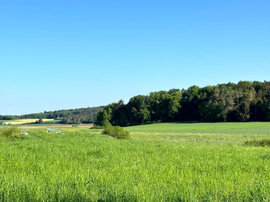 ***Charmantes Anwesen im Grünen*** – Ihr Traum vom Landleben wird wahr