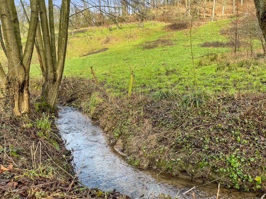 Exklusives Baugrundstück mit Bachlauf und unverbaubarer Naturkulisse in Weinheim.