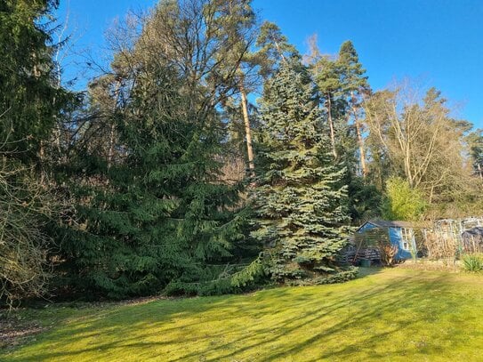 Das Haus der vielen Möglichkeiten, mit eigenem kleinen Wald AN-OT