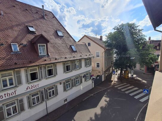 "Urban und nah an den Weinbergen"-schicke 4 Zimmer Stadtwohnung