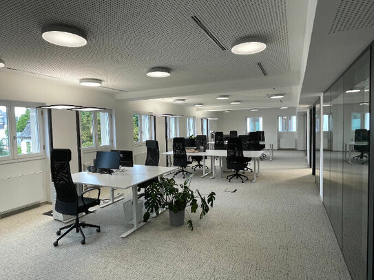 Frisch modernisiertes Open Floor Büro im Villenviertel - All-in-Miete