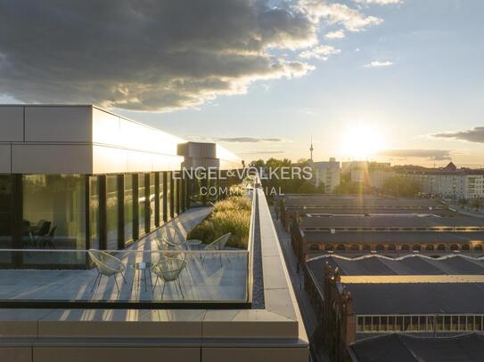 Hier bleiben keine Wünsche offen: Erstklassige Büros mit großzügiger Dachterrasse