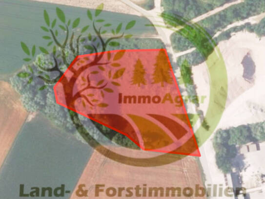 Verkaufe 0,66 ha Grünland/Brachland in 86368 Hirblingen (A)