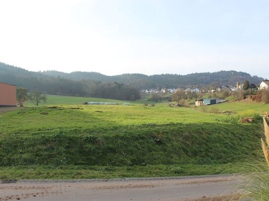 Tolles Voll erschlossenes Baugrundstück 13 km von Echternach in Schankweiler