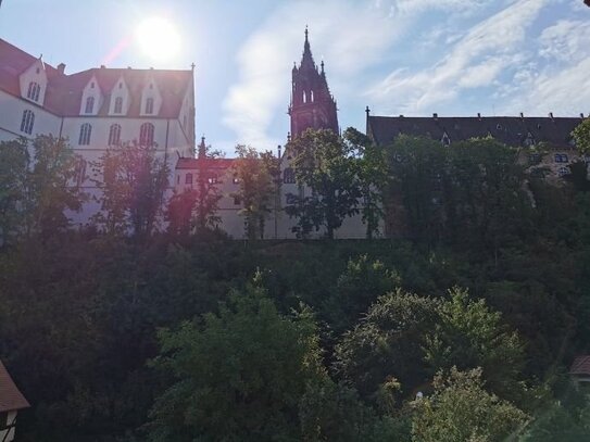 2-Raum-Wohnung Meißen links mit Balkon!